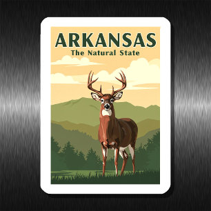Vintag Arkansas Magnet