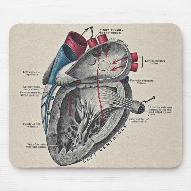 Vintag Art Anatomisches Herzdiagramm - Wissenschaf Mousepad (Vorne)