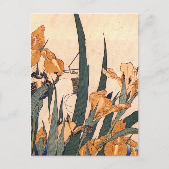 Vintag Art Japanisch Iris Blume Postkarte (Vorderseite)
