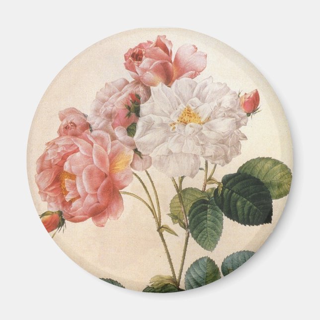 Vintag Art Pink Rose Blume Kühlschrank Magnet (Vorne)
