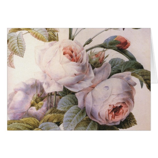 Vintag Art Rose Carnation Blume Grußkarte (Vorderseite (Horizontal))