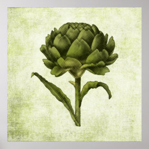 Vintag Artichoke Poster