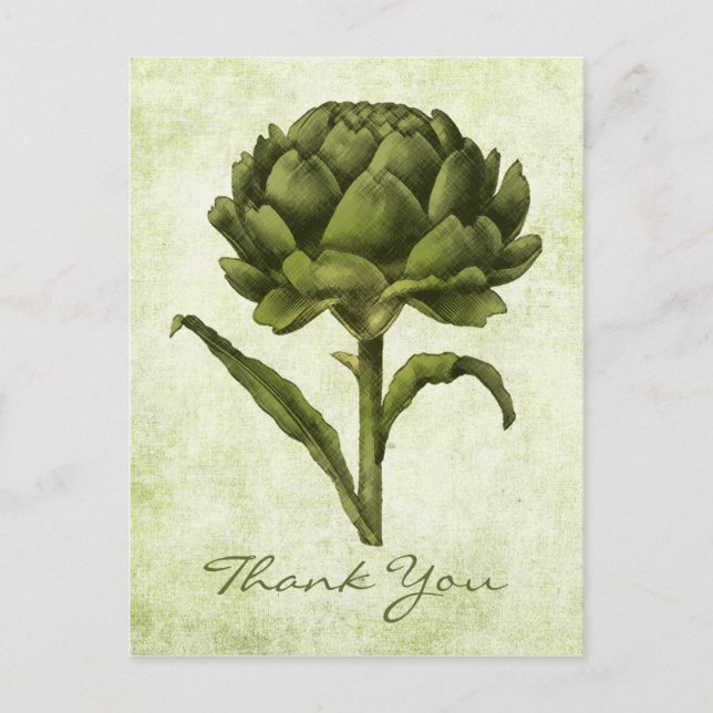 Vintag Artichoke Postkarte (Vorderseite)