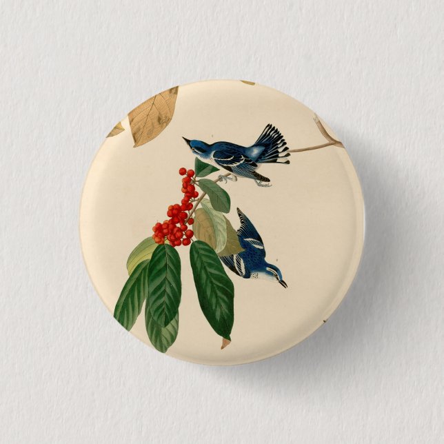 Vintag Audubon Cerulean Warbler Bird Malerei Button (Vorderseite)