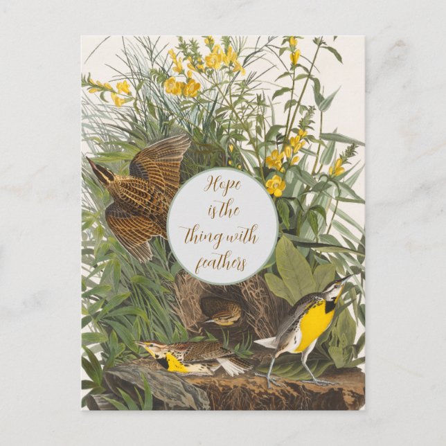 Vintag Audubon Meadowlark Print Postkarte (Vorderseite)