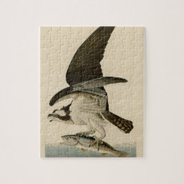 Vintag Audubon Osprey Bird Painting Gift Puzzle