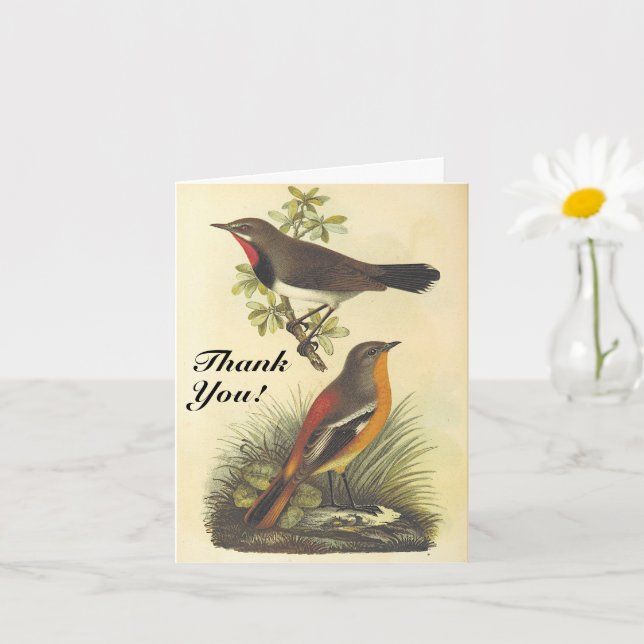 Vintag aussehen Vögel, "Danke!" Karte (Kleine Pflanze)