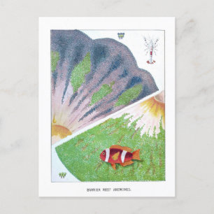 Vintag Australien Great Barrier Reef Travel Postkarte