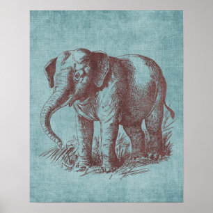 Vintag Baby Elephant Poster
