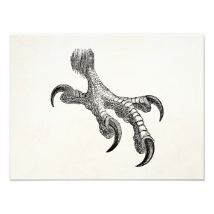 Vintag Bald Eagle Claw Personalisiert Bird Cases Fotodruck