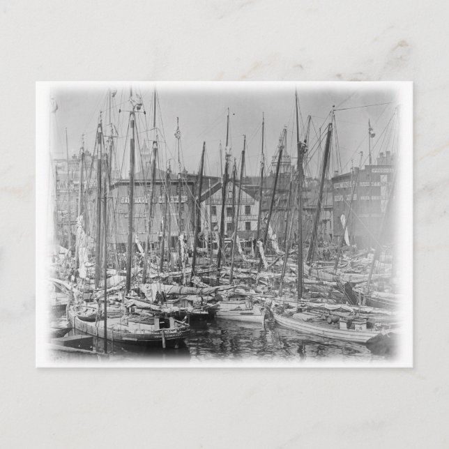 Vintag Baltimore Skipjack Sailboote Postkarte (Vorderseite)