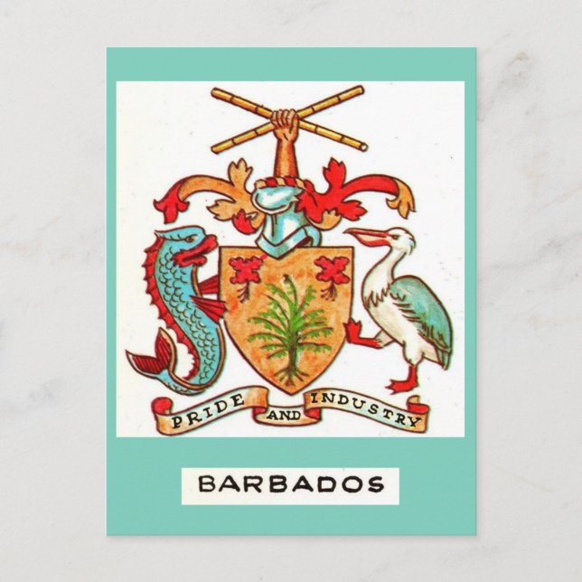 Vintag Barbados Postcard Postkarte (Vorderseite)
