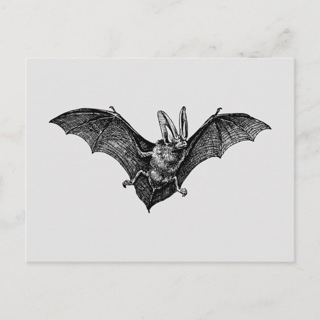 Vintag Bat Gothic Vampire Postkarte (Vorderseite)