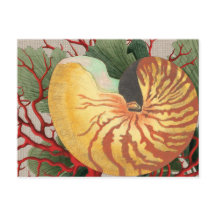 Vintag Beach Seashell & Red Coral Postcard