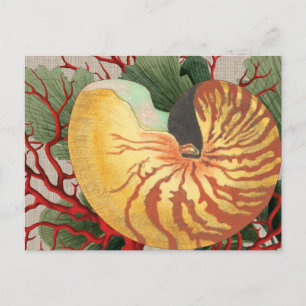 Vintag Beach Seashell & Red Coral Postcard Postkarte