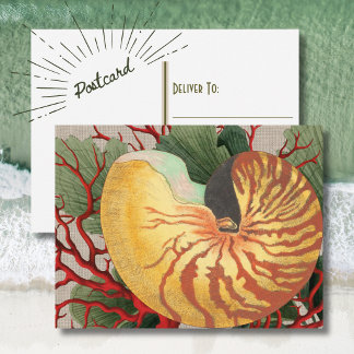 Vintag Beach Seashell & Red Coral Postcard Postkarte
