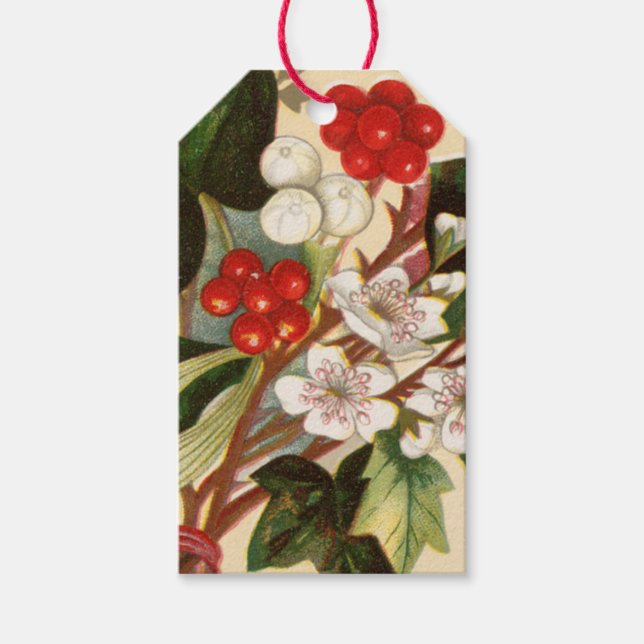 Vintag Berry Holiday Holly Mistletoe Geschenktag Geschenkanhänger (Vorderseite)