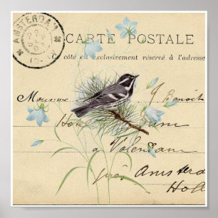 Vintag Bird Blue Blume Französische Postkarte Kuns Poster