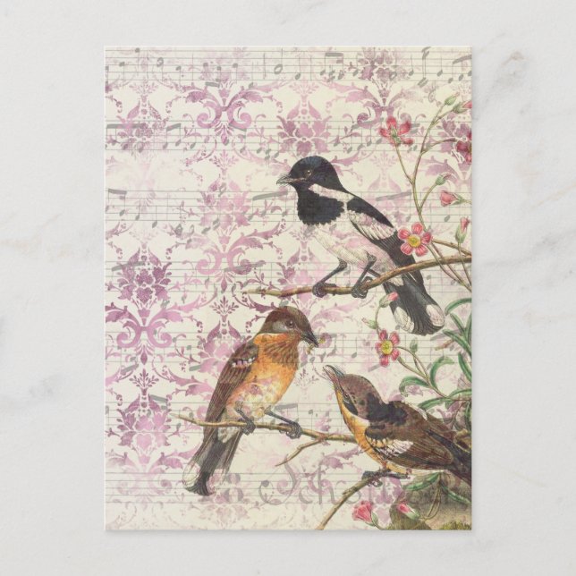 Vintag Bird Ephemera Decoupage Postkarte (Vorderseite)