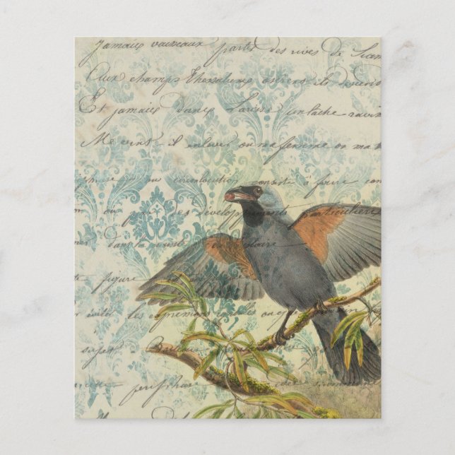 Vintag Bird Ephemera Scrapbook Paper Sheet (Vorderseite)