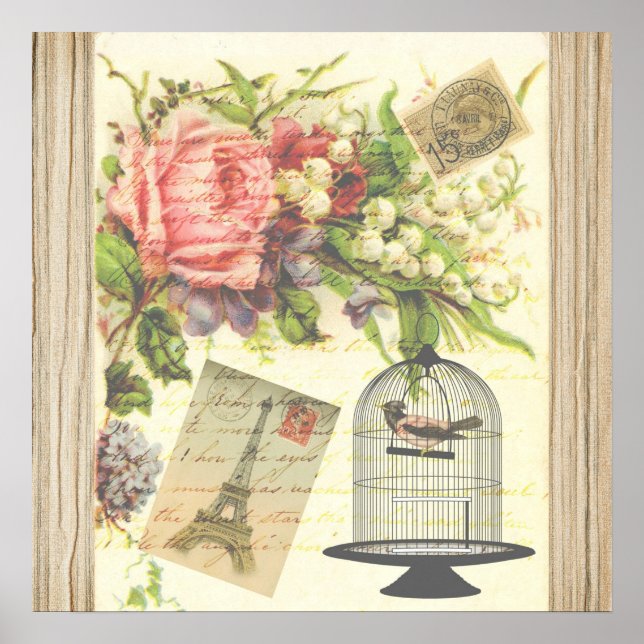 Vintag Bird Floral French Paris Eiffelturm Poster (Vorne)