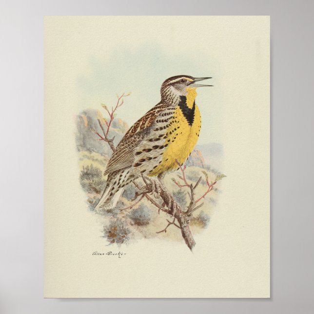 Vintag-Bird-Gelb-Brauntöne Poster (Vorne)