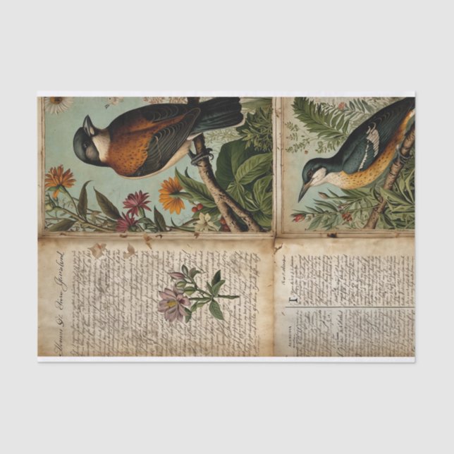 Vintag Bird Journal Seidenpapier (Vorderseite)
