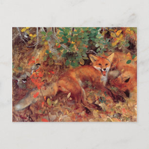 Vintag Bird Yellow Bruno Liljefors Foxes Postkarte