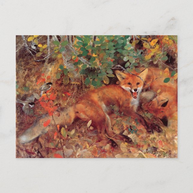 Vintag Bird Yellow Bruno Liljefors Foxes Postkarte (Vorderseite)