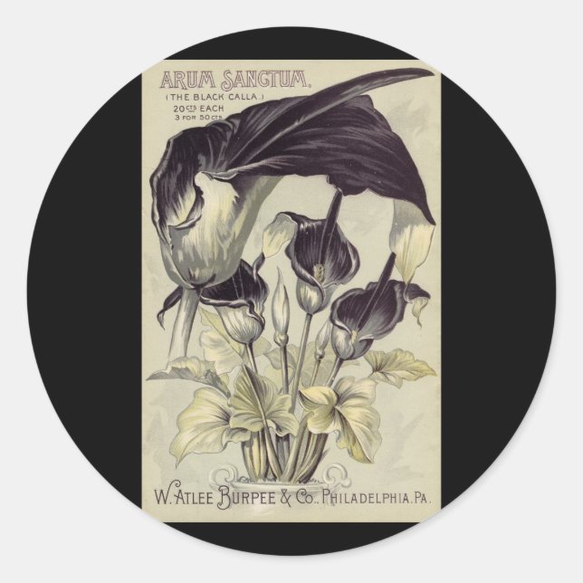 Vintag Black Calla Lilies Runder Aufkleber (Vorderseite)