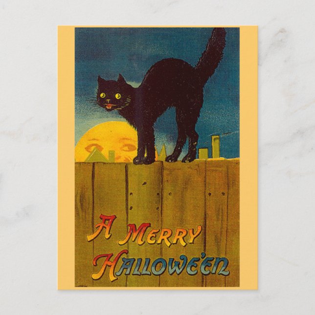 Vintag Black Cat Halloween Postkarte (Vorderseite)
