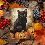 Vintag Black Cat Pumpkin Decoupage Postkarte<br><div class="desc">Dieses Design kann durch Auswahl der Option Design bearbeiten personalisiert werden. Sie können auch auf andere Gegenstände übertragen. Kontaktieren Sie mich unter colorflowcreations@gmail.com oder nutzen Sie die Chat-Option oben auf der Seite, wenn Sie dieses Design auf einem anderen Produkt haben möchten oder Hilfe benötigen. Sehen Sie mehr von meinen Designs...</div>