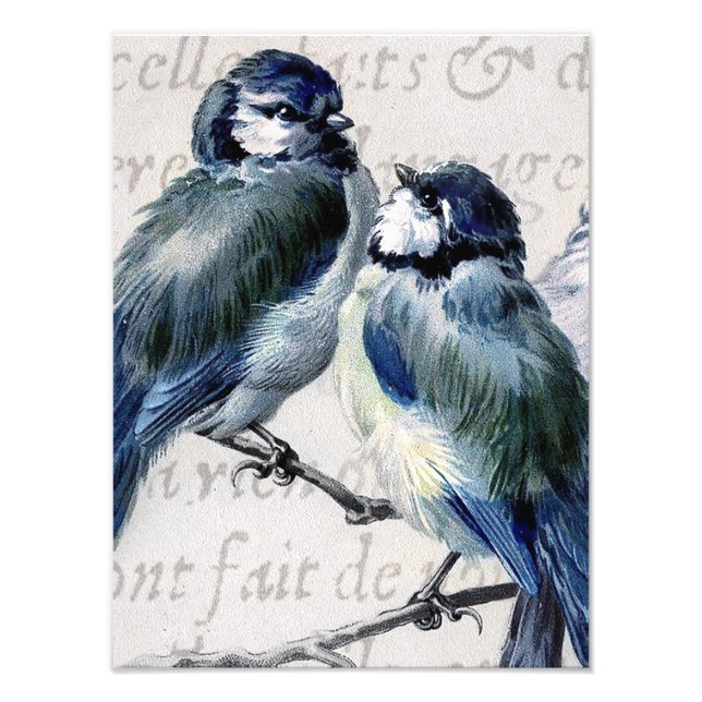 Vintag Blue Birds Collage - kundenspezifische Blue Fotodruck (Vorne)