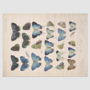 Vintag Blue Butterfells Ephemera Decoupage Aquamar Seidenpapier