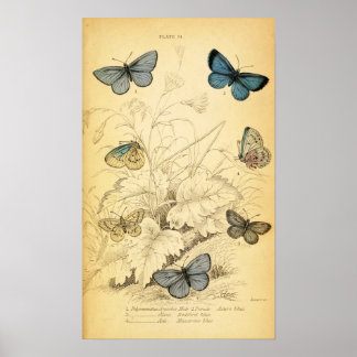Vintag Blue Butterfells Poster