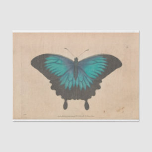 Vintag Blue Butterfly Ephemera Decoupage Aquamarin Seidenpapier