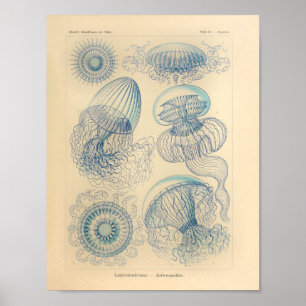 Vintag Blue Color Ernst Haeckel Art Print Poster
