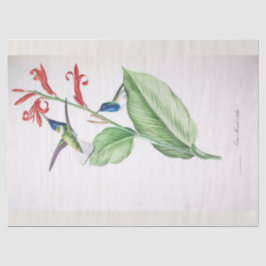 Vintag Blue Humming Bird Ephemera Decoupage Seidenpapier