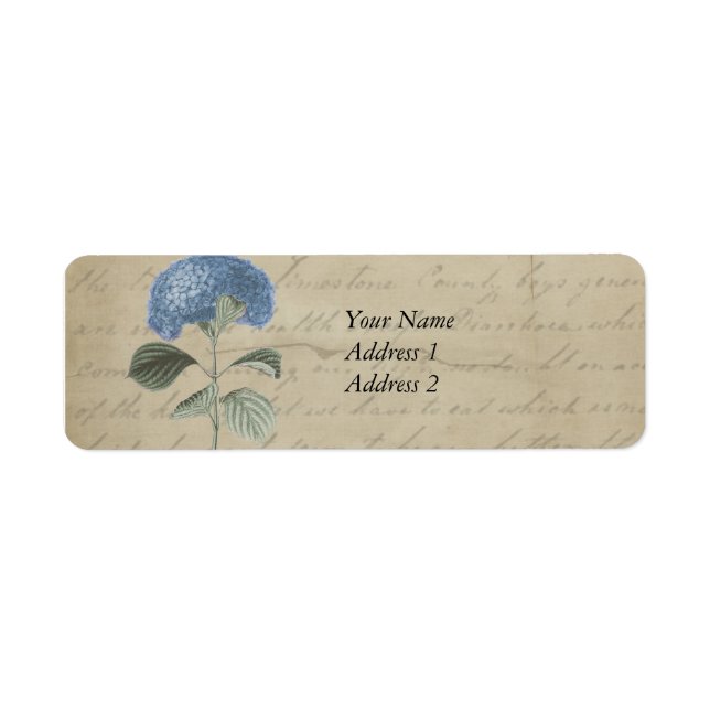 Vintag Blue Hydrangea mit antiker Kalligrafie (Vorne)