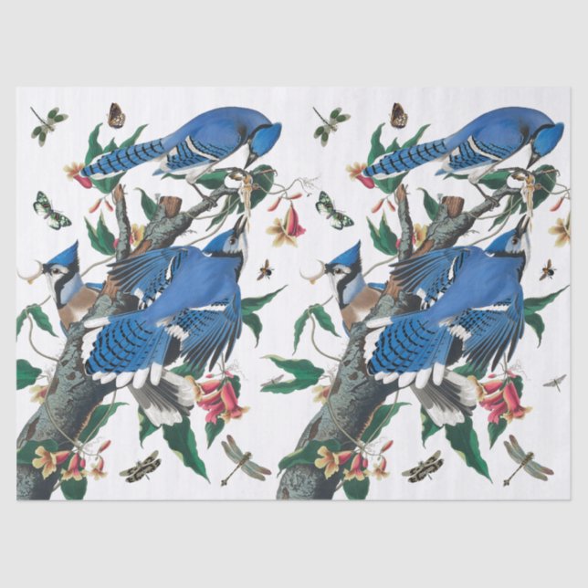 Vintag Blue Jay Birds Collage Muster. Seidenpapier (Vorderseite)