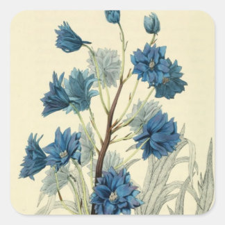 Vintag Blue Larkspur Blume Quadratischer Aufkleber