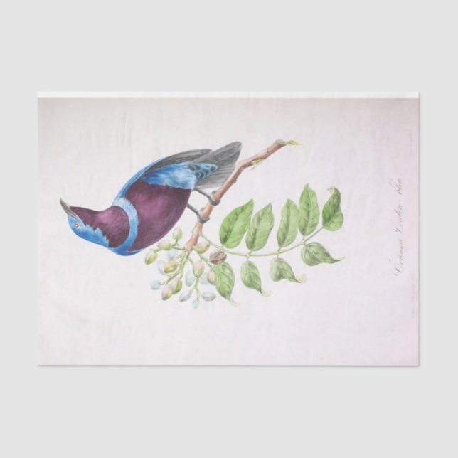 Vintag Blue Lila Bird Ephemera Dekoupage Script Seidenpapier (Vorderseite)