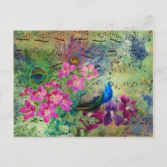 Vintag Blue Peacock Aquamarine Musik Rosa Blume Postkarte (Vorderseite)