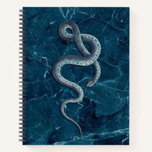 Vintag Blue Snake & Marble Notizbuch