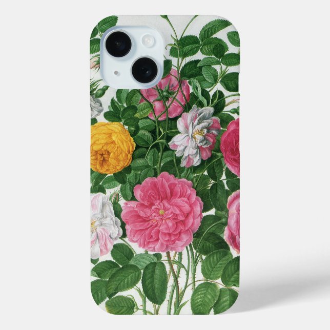 Vintag blühende Blume, Frühjahrsgärten-Rose Case-Mate iPhone Hülle (Rückseite)