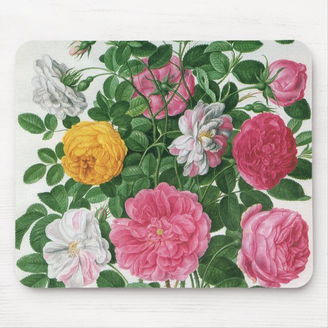 Vintag blühende Blume, Frühjahrsgärten-Rose Mousepad (Vorne)