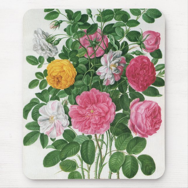 Vintag blühende Blume, Frühjahrsgärten-Rose Mousepad (Vorne)
