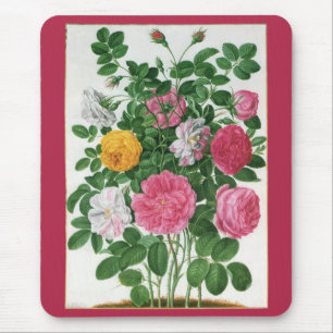 Vintag blühende Blume, Frühjahrsgärten-Rose Mousepad