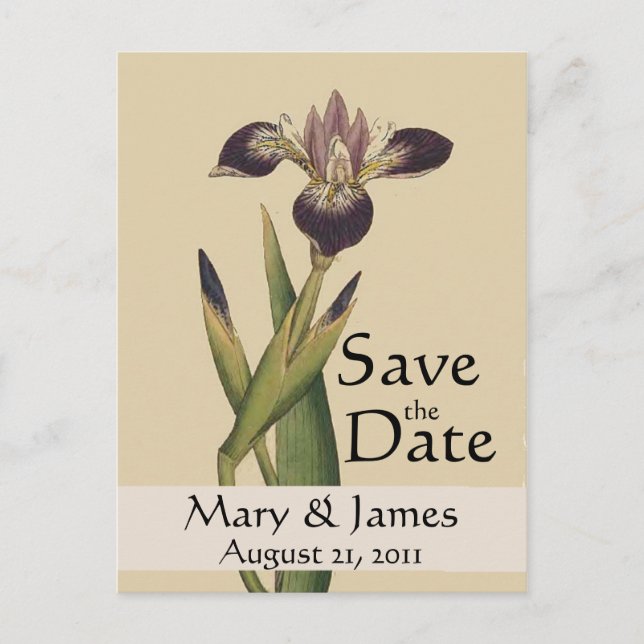 Vintag Botanicals Iris Save the Date Postkarte (Vorderseite)