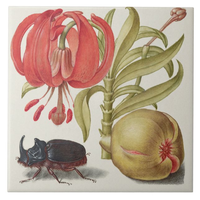 Vintag botanisch fliese (Vorderseite)